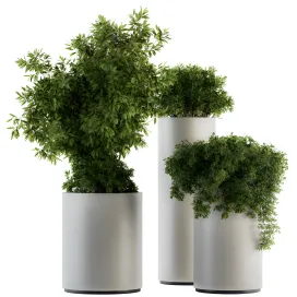 Indoor plant green white set